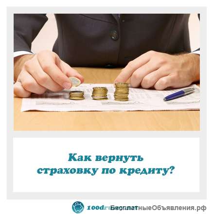 Верну страховку по кредиту