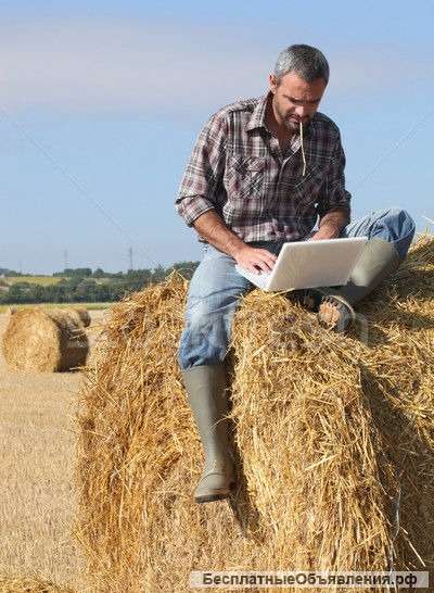 Создаю продающие сайты