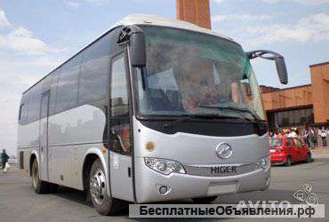 Автобус на заказ