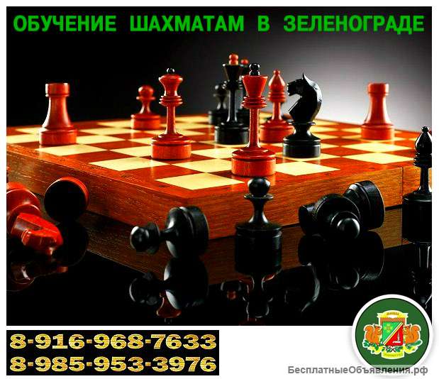 Обучение шашкам и шахматам. Зеленоград.