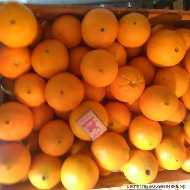 Апельсины оптом сорта Вашингтон 7-12