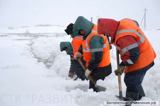 Вывоз снега Петродворцовый район