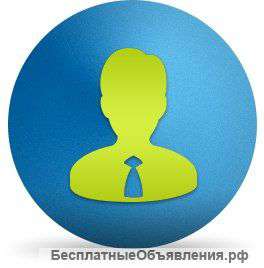 Руководитель агентской сети