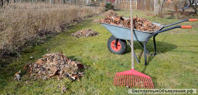 Расчистка участков. Спил деревьев