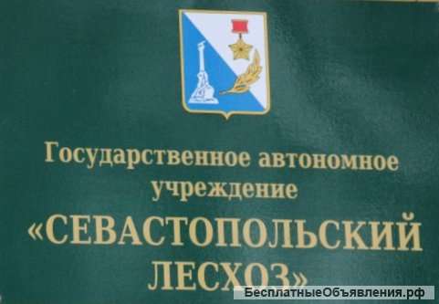 Старший делопроизводитель