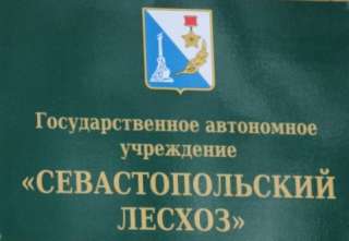 Старший делопроизводитель
