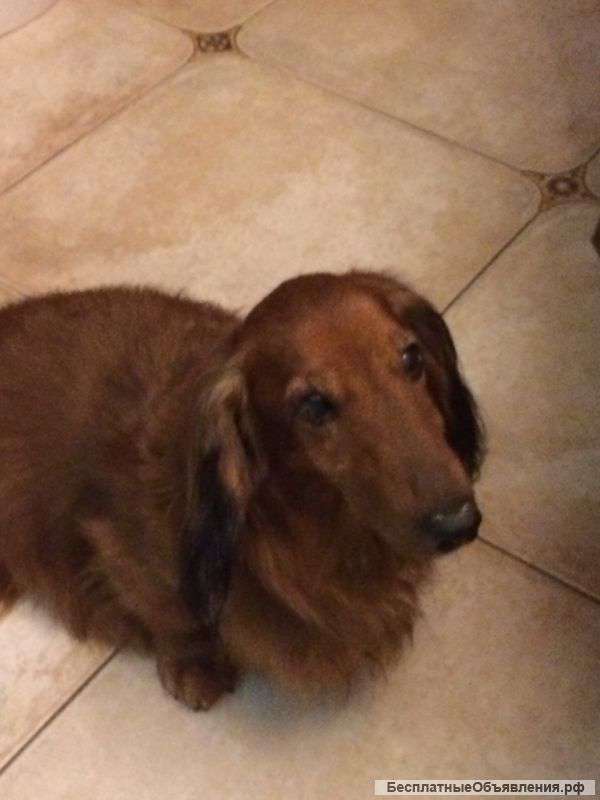 Найдена ТАКСА