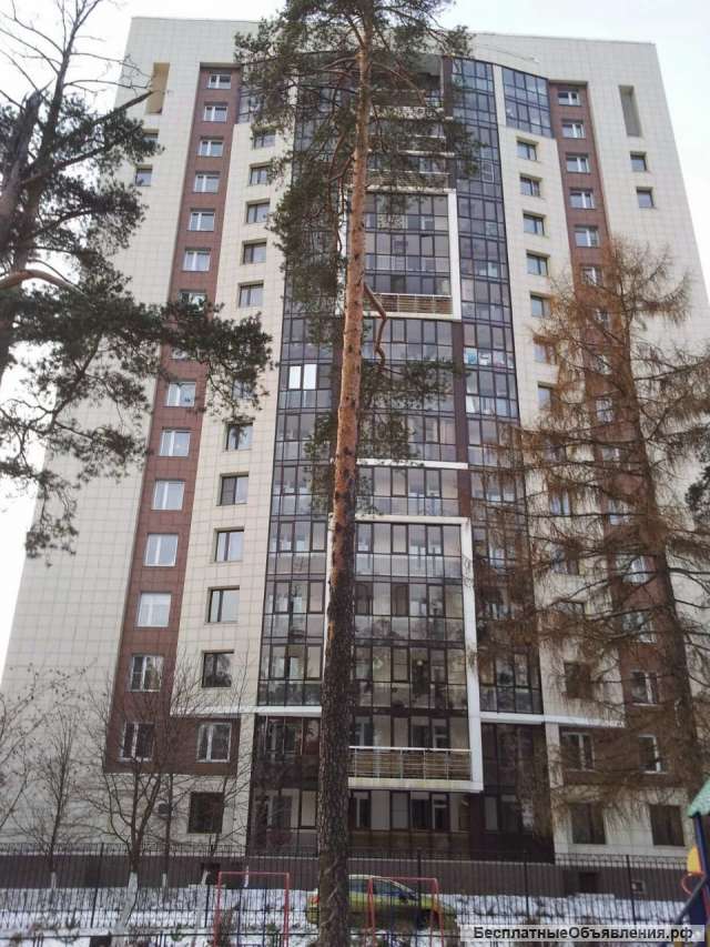 Судьба направляет в Геленджик из Подмосковья