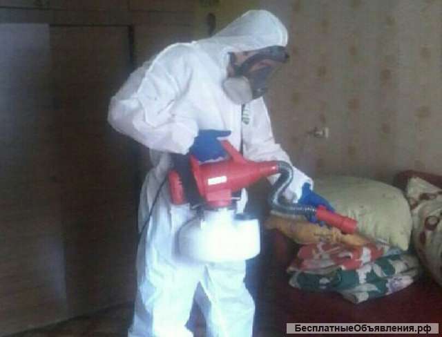 Уничтожение насекомых(клопы, тараканы, муравьи)