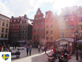 Уроки шведского языка по скайпу