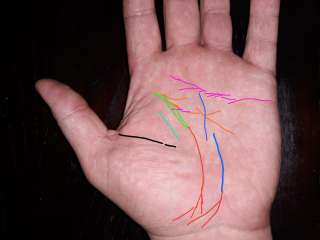 Хирология хиромантия коррекция