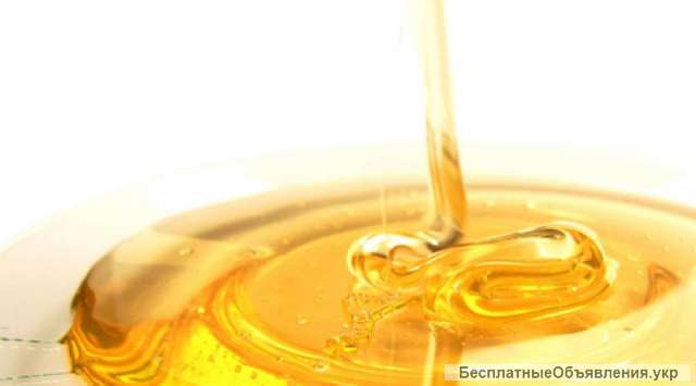 Куплю оптом пчелиный Мёд от пчеловода - пасечника 365/12/30/4/24