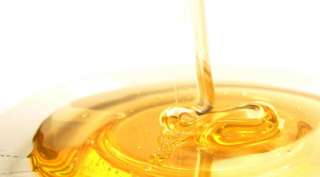 Куплю оптом пчелиный Мёд от пчеловода - пасечника 365/12/30/4/24