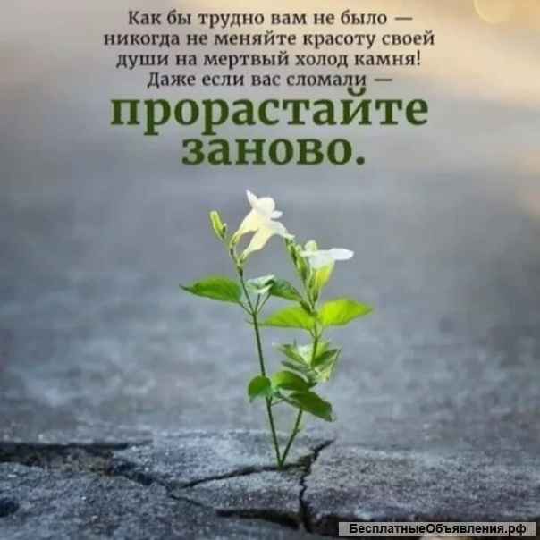 Ведовская ладка