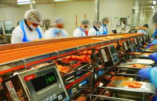 Требуются на рыбную фабрику в Польшу