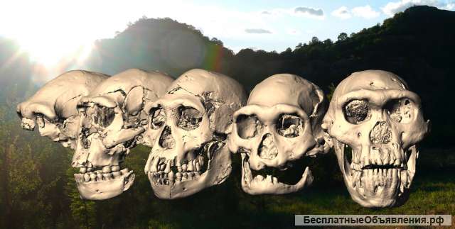 Экскурсия Болниси и Дманиси