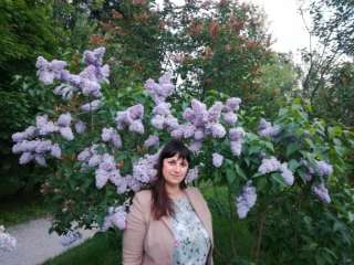 Бухгалтер удаленно