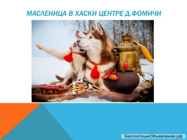 Проводы зимы в хаски-центре
