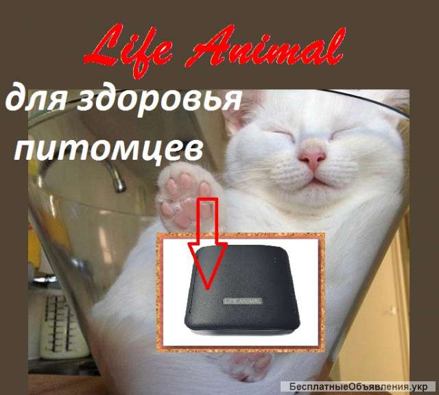 Прибор Life Animal для лечения животных дома. 4 уровня мощности для животных разных размеров.