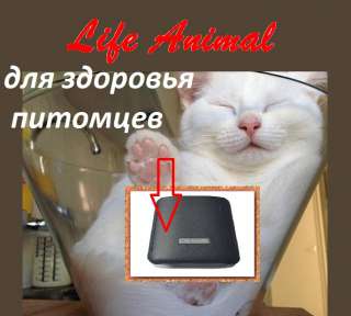 Прибор Life Animal для лечения животных дома. 4 уровня мощности для животных разных размеров.