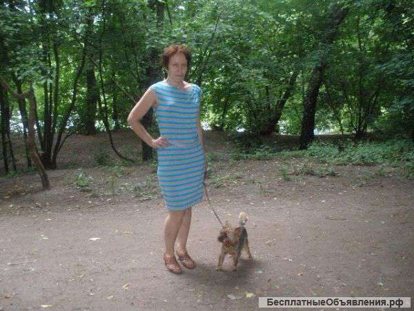 Репетитор английского