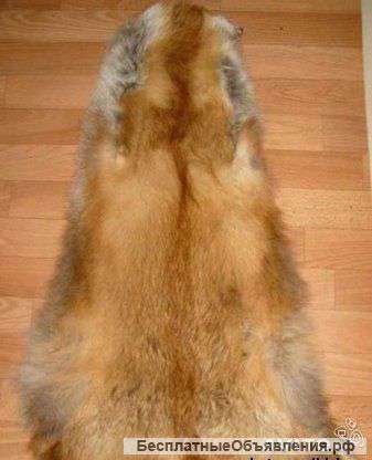 Лисью шкурку