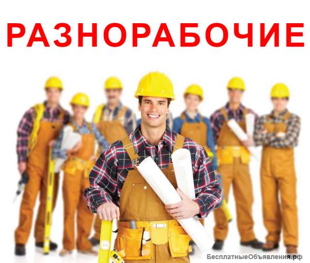 Выгодное предложение по услугам разнорабочих