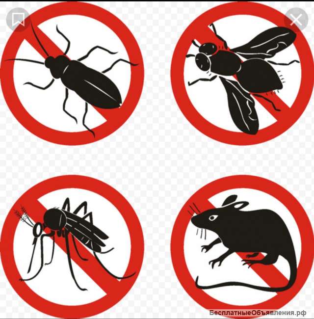 Уничтожение тараканов