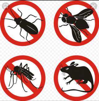 Уничтожение тараканов