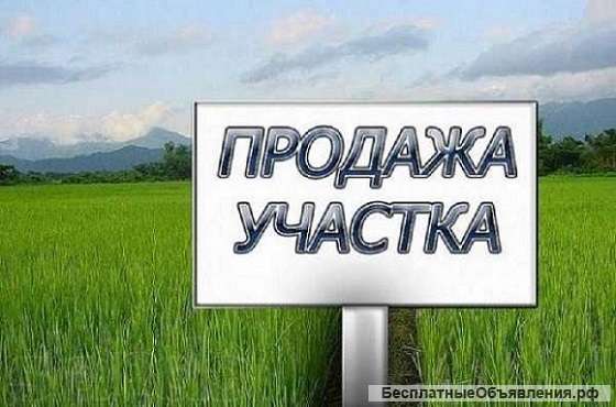 Дачный участок, Чистенькое