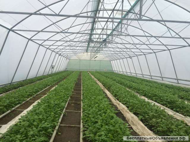 Действующего и полностью оборудованного Теплично, Крестьянско-фермерского хозяйства