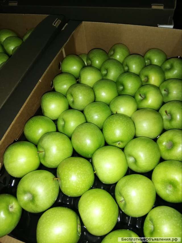 Яблоки Гренни Фото