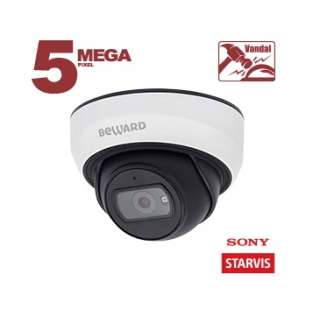 IP камера SV3210DB