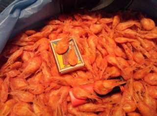 Креветка черноморская свежая