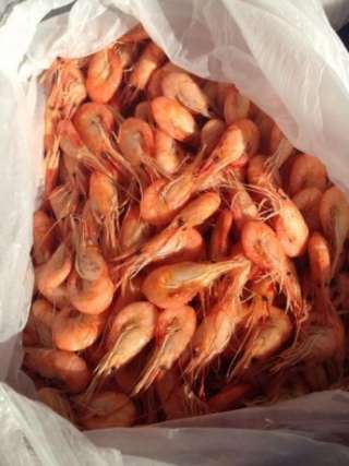 Креветка черноморская свежий вылов
