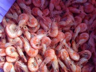 Самые вкусные черноморские креветки Доставка круглогодично
