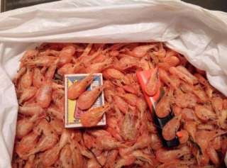 Креветка черноморская.(мелкая-отсев)