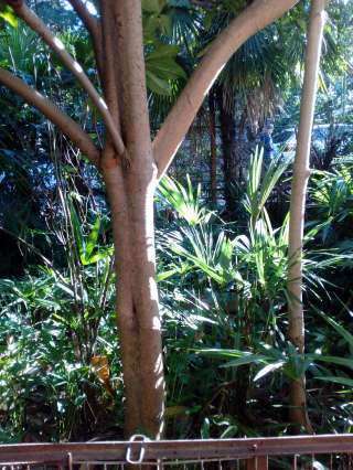 2-х комнатная квартира в районе Блиново