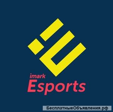 Imark Esports – самое крупное киберспортивное медиа-агентство в Казахстане