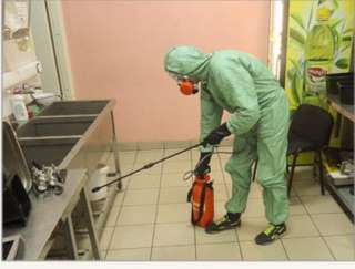 Дезинсекция клопов и тараканов