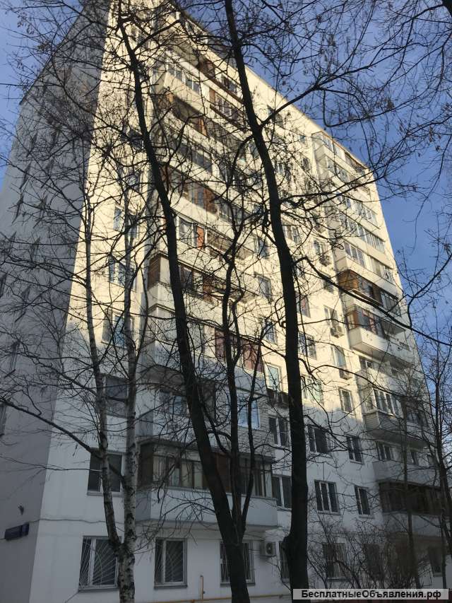 Однушка на м.Киевской