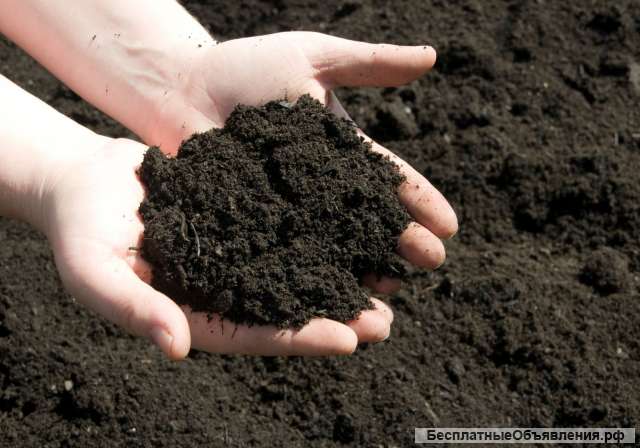 Торф черный