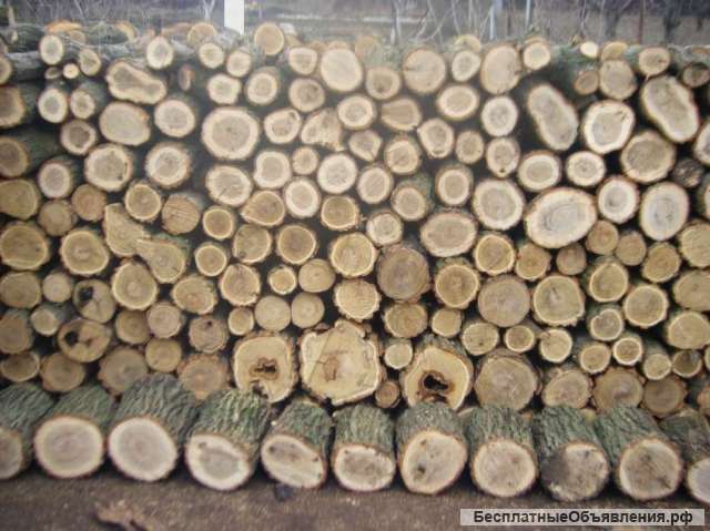 Дрова акация дикая (белая)