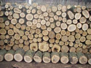 Дрова акация дикая (белая)