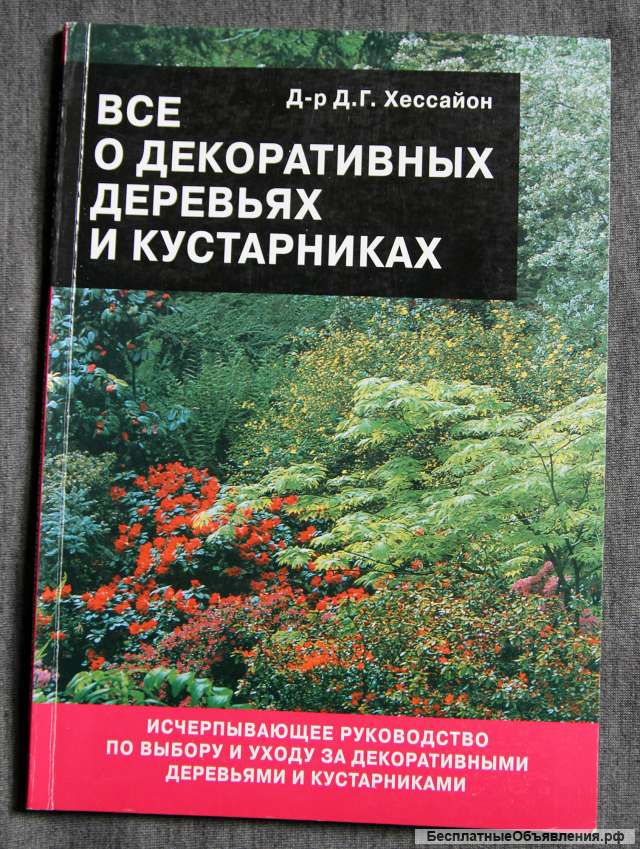 Все о декоративных деревьях и кустарниках