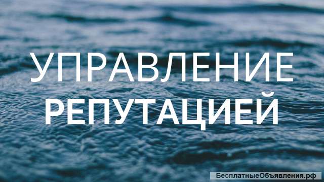 Управление репутацией бренда в сети (месяц)