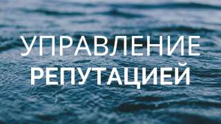 Управление репутацией бренда в сети (месяц)