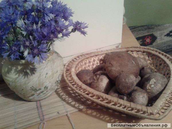 Чёрный алмаз кулинарии