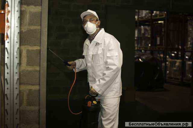 Дезинфекция
