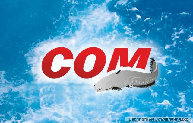 Ищем продавца-кассира